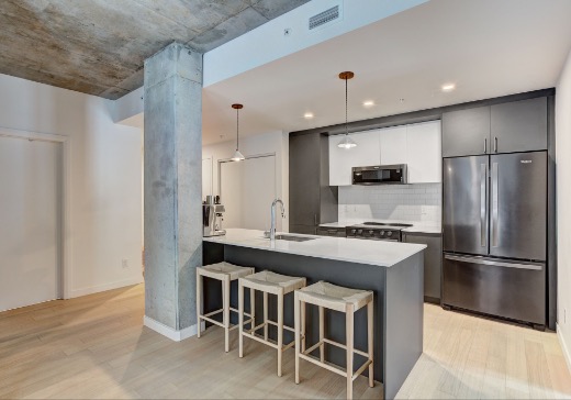 Condo for sale - 3155 Av. Parkville, Montreal (Mercier/Hochelaga-Maisonneuve), H1N 0E7