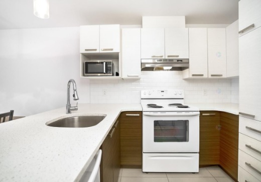 Condo à vendre - 2291 app. 201, avenue De La Salle, Montréal (Mercier/Hochelaga-Maisonneuve), H1V 2K9