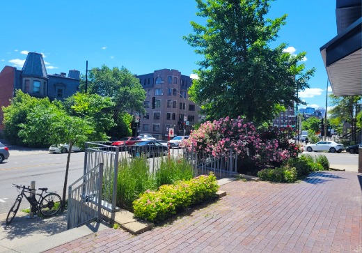 Condo for sale - 801 Sherbrooke E., #503, Montreal (Plateau-Mont-Royal), H2L 0B7
