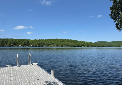Maison à vendre - 444 mtee du lac Gravel, Mont St-Michel, J0W 1C0