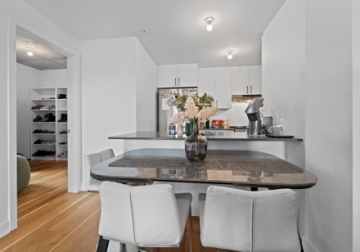 Condo à vendre - 3600  Rue Rachel Est, Montréal (Rosemont–La Petite-Patrie), H1W 0C4