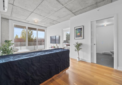 Condo à vendre - 3600  Rue Rachel Est, Montréal (Rosemont–La Petite-Patrie), H1W 0C4