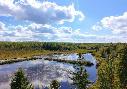 House for sale - 100  Ch. du Lac-Dumas, Saint-Côme-Linière, G0M 1J0