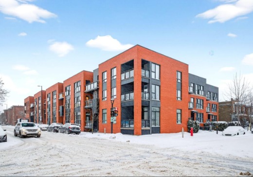 Condo for sale - 3595  Rue Masson, app. 8, Montreal (Rosemont–La Petite-Patrie), H1X1S3
