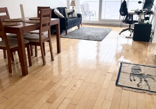 Condo à vendre - 10150 Place de l Acadie 1202, Montréal (Ahuntsic/Cartierville), H4N 0C5