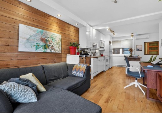 Condo for sale - 5141  Boul. St-Michel, app. 1, Montreal (Rosemont–La Petite-Patrie), H1Y 2C6