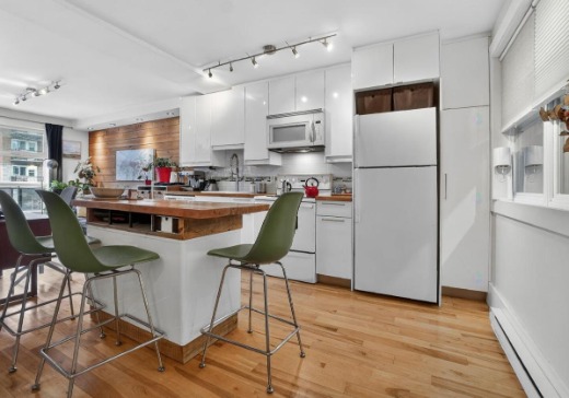 Condo for sale - 5141  Boul. St-Michel, app. 1, Montreal (Rosemont–La Petite-Patrie), H1Y 2C6