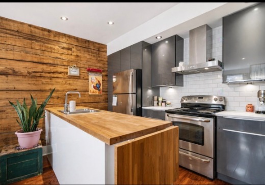 Condo à vendre - 4523  Rue La Fontaine, Montréal (Mercier/Hochelaga-Maisonneuve), H1V 1P4