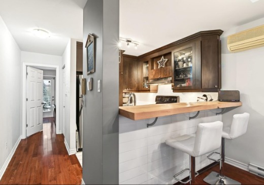 Condo à vendre - 3595 Rue Masson, app. 8, Montréal (Rosemont–La Petite-Patrie), H1X 1S3