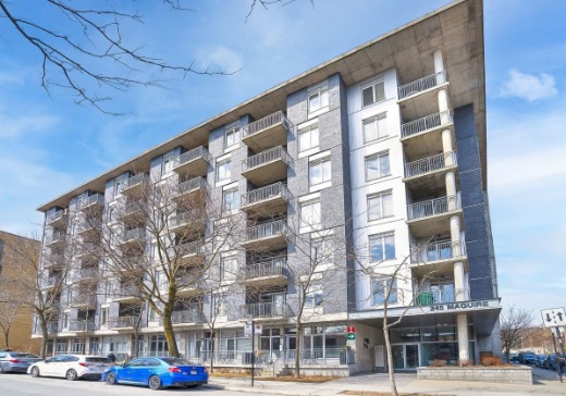 Condo à vendre - 245 app. 311, rue Maguire, Montréal (Plateau-Mont-Royal), H2T0A4