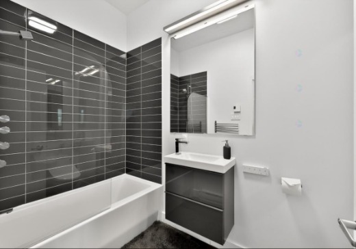 Condo for sale - 7026 Rue St-André, app. 303, Montreal (Rosemont–La Petite-Patrie), H2S 0B8
