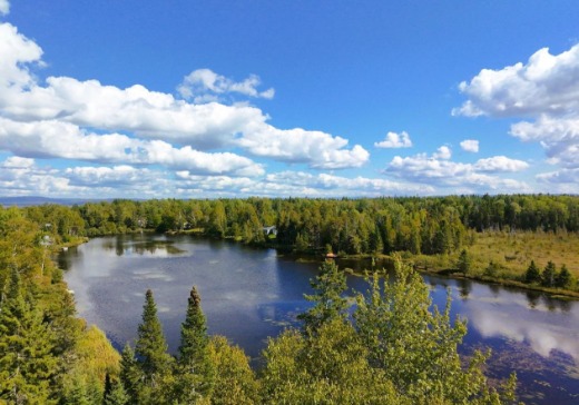 Maison à vendre - 100 Ch. du Lac-Dumas, Saint-Côme-Linière, G0M 1J0