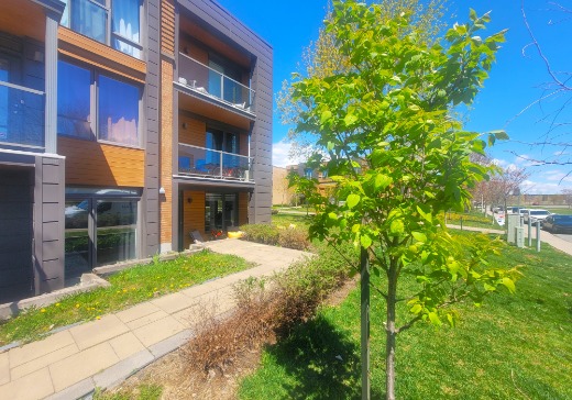 Condo for sale - 4234 La Perrière, Longueuil, J3Y 0P4